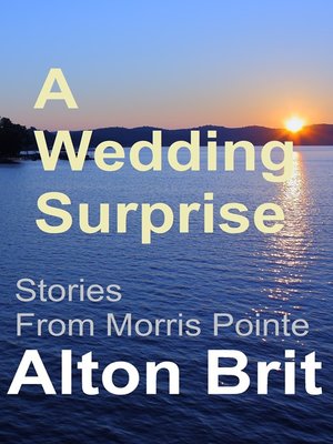 cover image of A Wedding Surprise